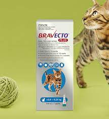 The prevalence of heartworm in australia remains poorly understood. Bravecto Plus For Cats All In One Spot On Treatment For Your Cat