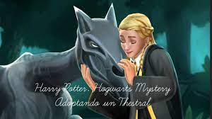 Maybe you would like to learn more about one of these? Adoptando Un Thestral Harry Potter Hogwarts Mystery Youtube
