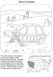 You can use our amazing online tool to color and edit the following tortoise coloring pages. Parentune Free Printable Tortoise Coloring Pages Tortoise Coloring Pictures For Preschoolers Kids