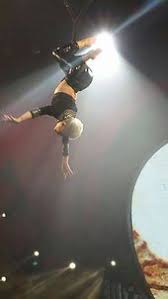 Pink Try The Truth About Love Live From Los Angeles Pin By Eden R On Pink Best Night Of My Life P Nk Pink Singer