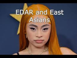 EDAR gene and east Asians