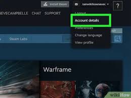 People can either earn or purchase steam. Simple Ways To Put Money On Steam 10 Steps With Pictures