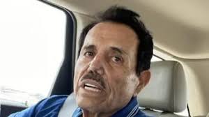 El Mayo' and El Chapo's son: Who are the arrested drug lords?
