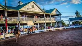 Shelby County Fair Horse Show