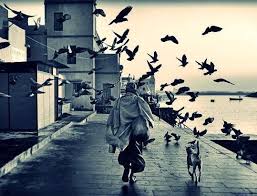 Bazen Bir Seyleri Oluruna Birakmak Onlara Sarilmaya Ugrasmaya Gore Kat Kat Daha Guclu Bir Eylemdir Echart Tolle Life Feelings