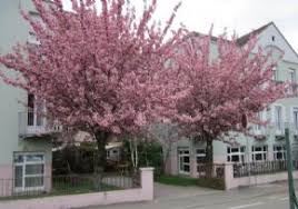 Ehpad Maison De Retraite Sans Souci A Geispolsheim