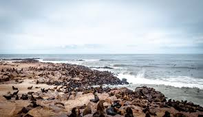 Discover the ghost towns of namibia's skeleton coast. Best Places To Visit In Namibia Tales From The Lens