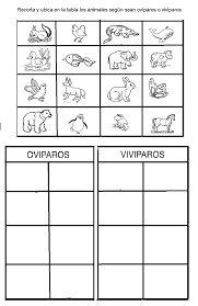 Pin En Ciencias Naturales