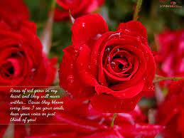 Romantic Love Romantic Love Beautiful Love Flowers Flower Quotes Roses Are Red Poems