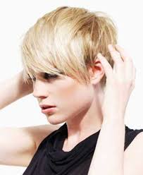 While watching shaggy as he was chasing after scooby doo's snacks, who would have thought that an amazing variation of the asymmetrical pixie cut looks extremely sassy and fun. 15 Shaggy Pixie Cuts Pixie Cut Haircut For 2019