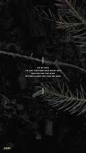 Check spelling or type a new query. Iphone 11 Pro True Black Wallpapers Wallpaper Cave