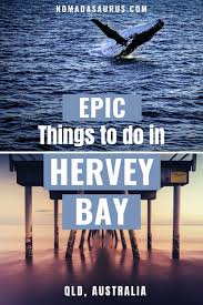 12 Incredible Things To Do In Hervey Bay Australia In 2020 Hervey Bay Oceania Travel Australia Travel