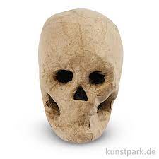 In diesem rezept verraten wir ihnen, wie sie selbst pappmaché/pulpe herstellen können. Pappmache Totenkopf Handgemacht Hohe 10 Cm
