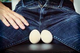The chest is separated from the abdomen by the diaphragm. Fungsi Penting Testis Dan Risiko Yang Menyertainya Alodokter