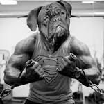 Strongest Dogs in the World