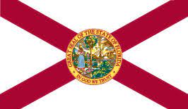 Many banners have flown over florida prior to 1868, including the flags of spain, france, great britain, the confederate states, and the national flag of the usa. Florida Flag