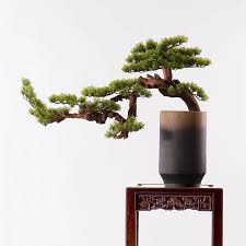 home office decoration artificial pine tree bonsai high simulation cypress bonsai view artificial guest greeting pine easynature plant art bonsai bonsai tree