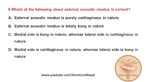 The auricle is a concave structure that directs sound waves into the external acoustic meatus. Dentosphere World Of Dentistry External Acoustic Meatus Bony Or Cartilaginous