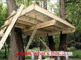 Consider who will be in your treehouse? Building A Treehouse Youtube