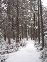 Pin On No Time To Say Hello Goodbye I M Late I M Late I M Late