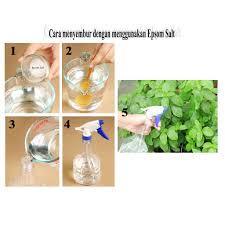 Berikut saya kongsikan cara membuat baja organik cecair sebagai baja buah. Buy 1kg Yara Epsom Salt Magnesium Sulfate Baja Organik Agricultural Grade Mg2so4 Water Soluble Fertilizer Seetracker Malaysia