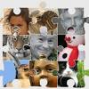 Let us make a quality 1000 piece puzzle from your favorite photo. 1