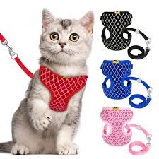 Breathable Pet Harness Dogs Cats In 2020 Cat Harness Cat Leash Cat Collars
