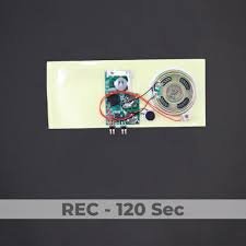 Make your own card with ease! Greeting Card Sound Module Rec 120 Sec Bigdawgs Greetings