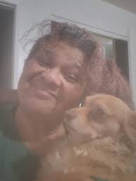 Author goes for a walk with pets