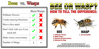 Please Stop Sharing The Wasps Are Jerks Memes Memes Wasp Jerk