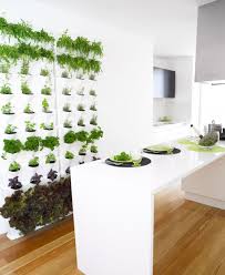 Design3000 Drei Module Fur Einen Minigarten Mit Neun Pflanzen Verticalgarden Verticale Tuin Binnenshuis Tuinieren Hangende Tuinen
