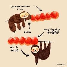 Pin By Tad On Sloth Chinese Snacks Sloth My Favorite Things