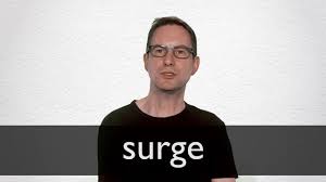 نتیجه جستجوی لغت [surge] در گوگل