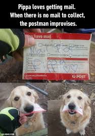 A Postman From Brisbane Wrote Letters To The Pup Funny Dog Memes Cute Animals Cute Funny Animals