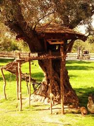 Napa Happy Happy Nester Chickens Backyard Chicken Coop Chicken Coop Designs