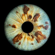 Image result for artistic divergence eyeballs
