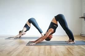 To start your yoga journey, here are the 15 best yoga poses to be familiar with. 55 Most Effective Yoga Asanas For Beginners