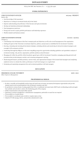 We have resume samples for all job titles and formats. Chief Investment Officer Resume Sample Mintresume