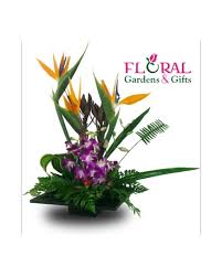 Flowers to go jupiter florida. Jupiter Florist Find A Florist In A City Near You
