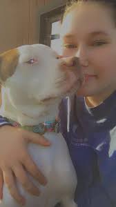 Hey nosey, I graduated High School this year and I'm desperate for a job. I  applied everywhere and no one is apparently hiring, If y'all know any  places that are hiring could