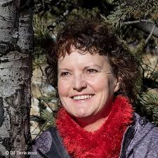 The Other Side of the Mountain: Tales from the Pikes Peak Writers