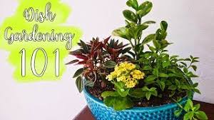 Ovnimoon records presents ren toudu with their latest track titled nemophilist. Dish Gardening 101 Designing Planting Care Joy Us Garden Youtube