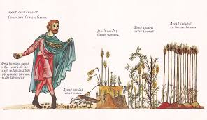 Das eine fiel neben den weg, und die vögel kamen und fraßen es weg. Gleichnis Vom Vierfachen Ackerfeld Wikipedia