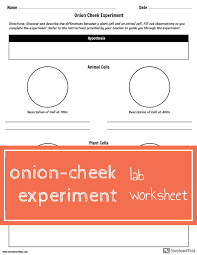 Onion Cheek Lab Science Lesson Plans Cells Activity Experiments