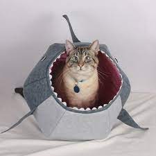 10 Homemade Cat Beds Too Cute To Resist Unique Cat Bed Homemade Cat Beds Cat Ball