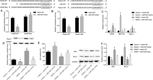 Compare money transfer services, compare exchange rates and commissions for sending money from europe to romania. Changqin No 1 Inhibits Neuronal Apoptosis Via Suppressing Gas5 Expression In A Traumatic Brain Injury Mice Model