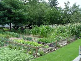 Growing fruits and vegetables seems overwhelming to most people, but it's actually much simpler than it sounds. How To Grow Your Own Food During The Coronavirus Shutdown This Weekend In The Garden Pennlive Com