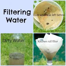 Homemade Water Filter Science Project Environmental Science Activities Environmental Science Projects Science Projects For Kids