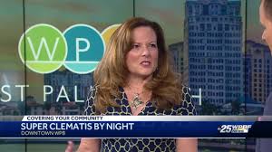 For news and updates, follow the city of west palm beach on facebook @cityofwpb and on twitter and. Super Clematis By Night