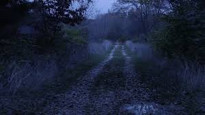 Ghost Of Civil War Vet Gettysburg Ghosts Ghost Photos Ghost Pictures